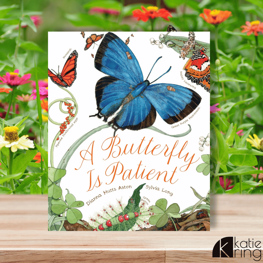 This spring picture books is perfect to use within a butterfly unit. It is titled "A Butterfly is Patient".