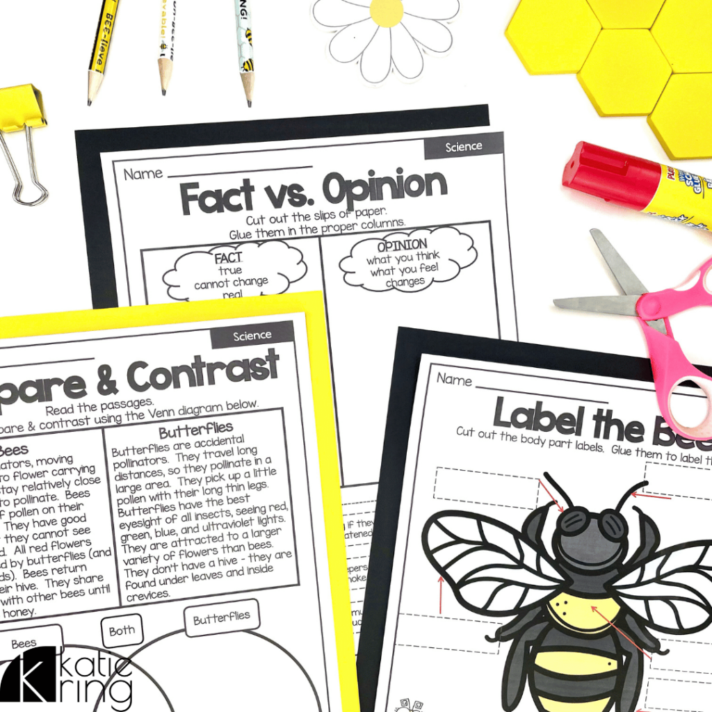 With the bee activities shown in this photo, students can label a bee, discuss facts vs opinions and compare and contrast bees with butterflies.