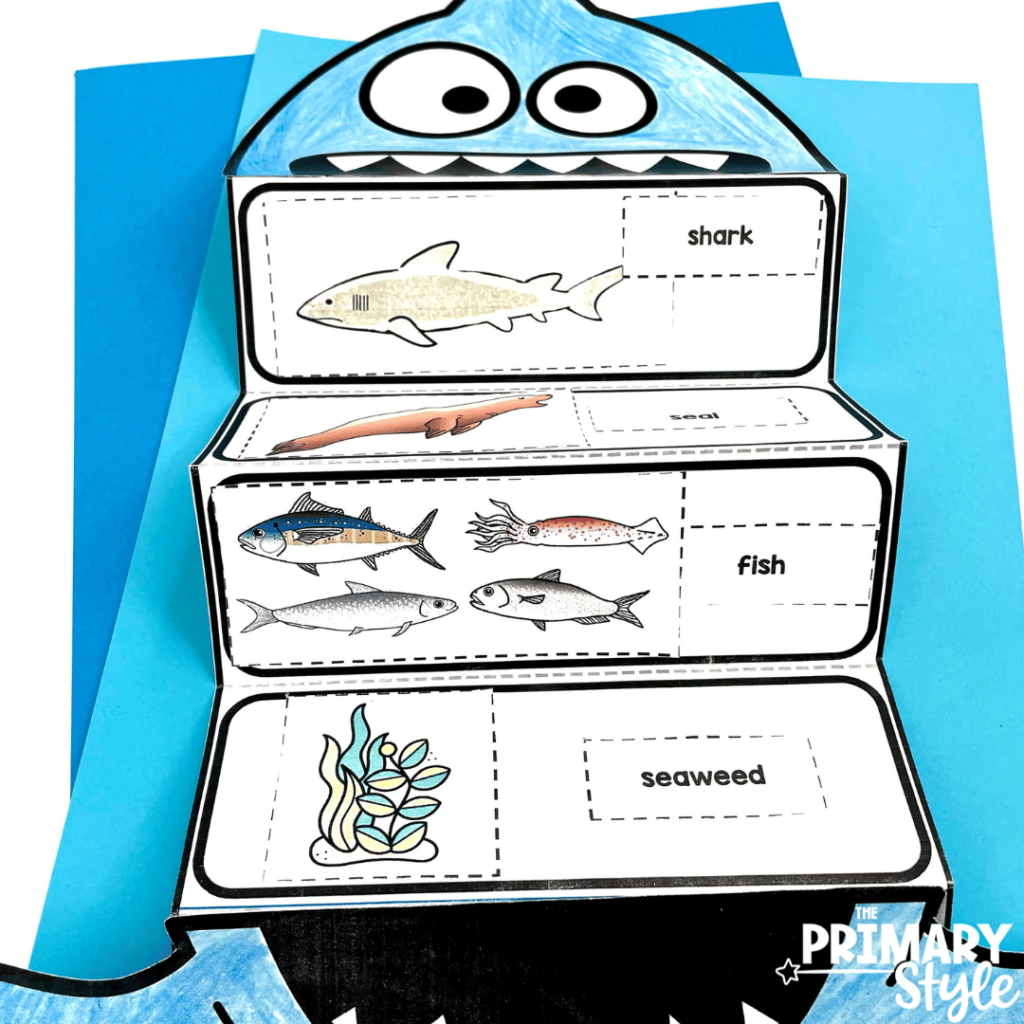 Using the shark craft in this photo, students will share facts about sharks.