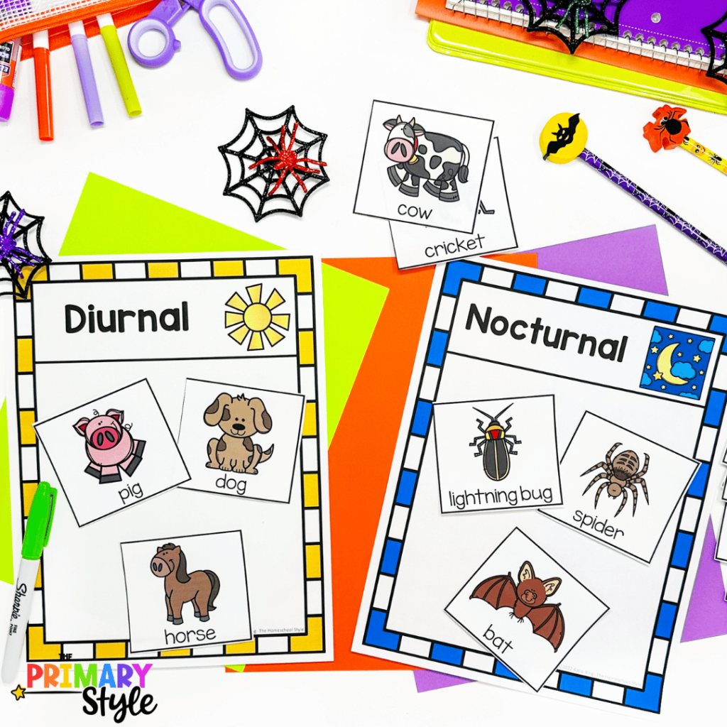 Bats and spiders classroom learning centers like these help students identify and sort diurnal and nocturnal animals.