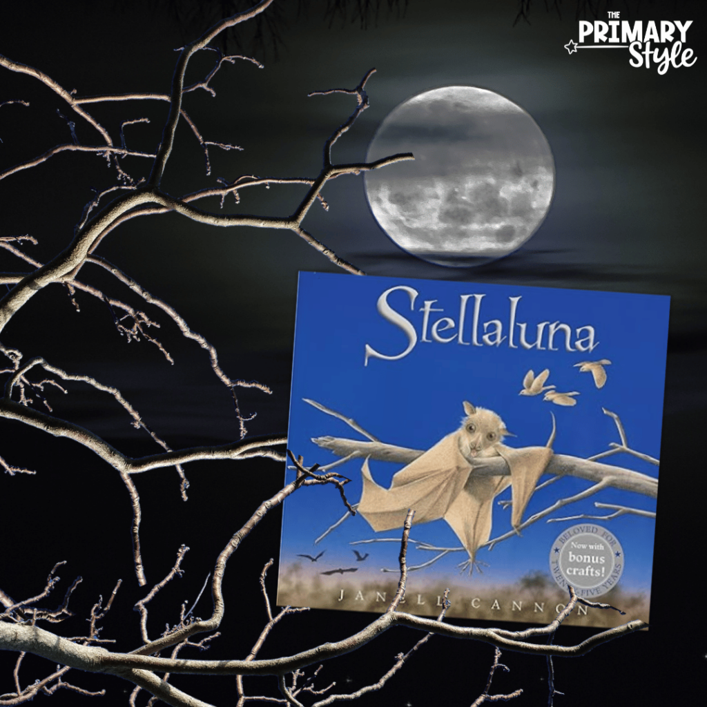 This image shows a picture of the book Stellaluna, which is one of my favorite bats and spiders books for kids.